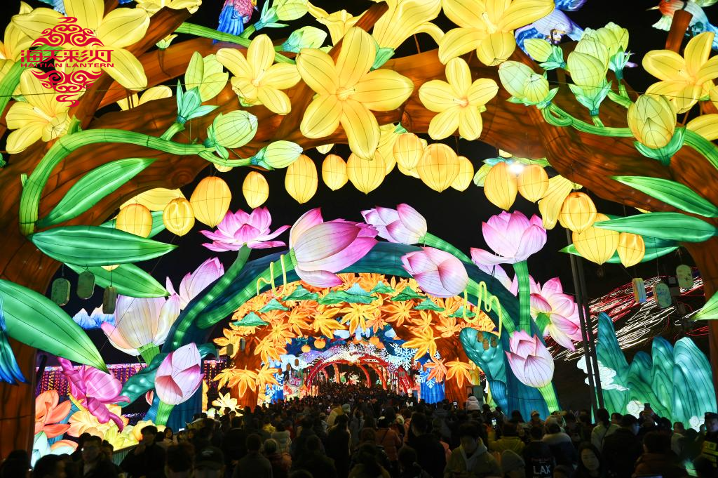 Zigong International Dinosaur Lantern Festival 4