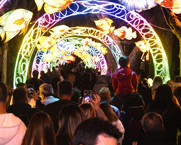 Les lanternes du monde sous-marin présentées lors du festival annuel des lumières en Italie